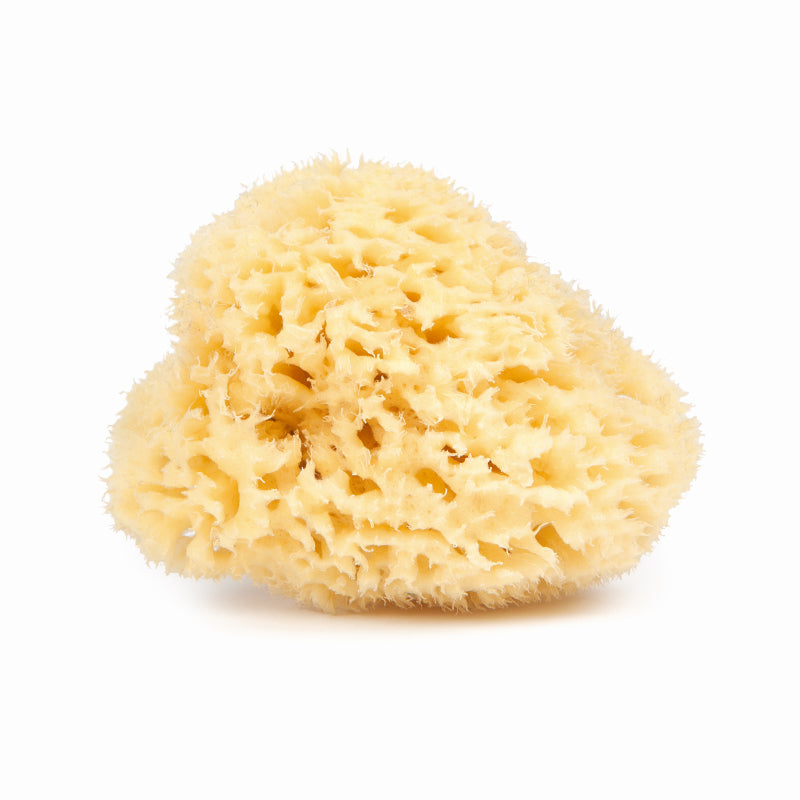 Najel - Natural Sponge 9-10 cm - Soft & Eco-Friendly for Glowing Skin 🌿✨