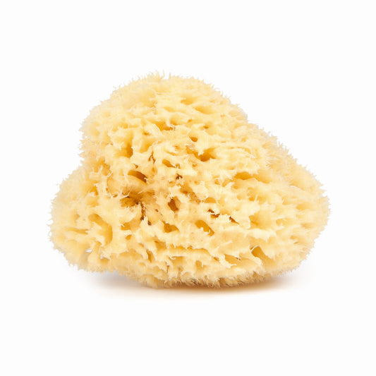 Najel - Natural Sponge 9-10 cm - Soft & Eco-Friendly for Glowing Skin 🌿✨