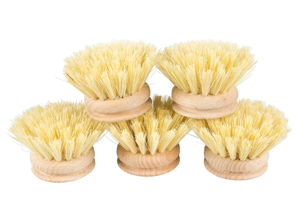 MEMO - Replacement Brush for P1010 - Essential Brush Accessory 🧼