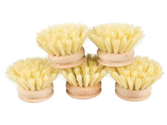 MEMO - Replacement Brush for P1010 - Essential Brush Accessory 🧼