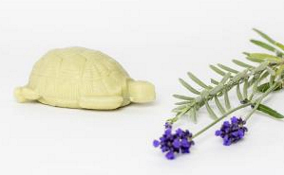 SAVON DU MIDI - Turtle Soap - Gentle Vegan Cleanser 🐢🌿