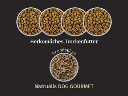 Vegetarisch mit Pastinake, Zucchini, Superfoods und Naturkräuter