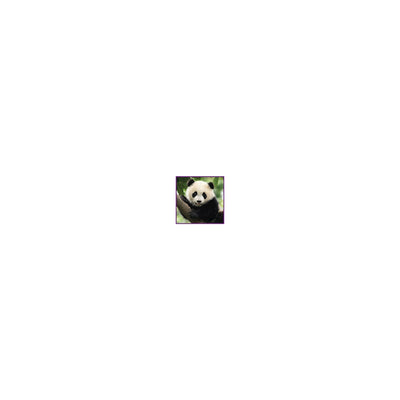 Panda 100 Teile