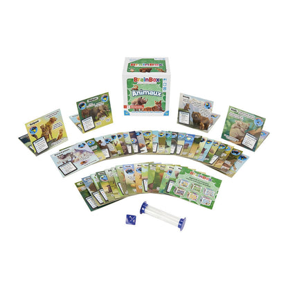 BrainBox - Animaux (f)
