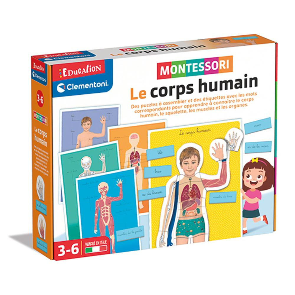 Montessori Le corps humain