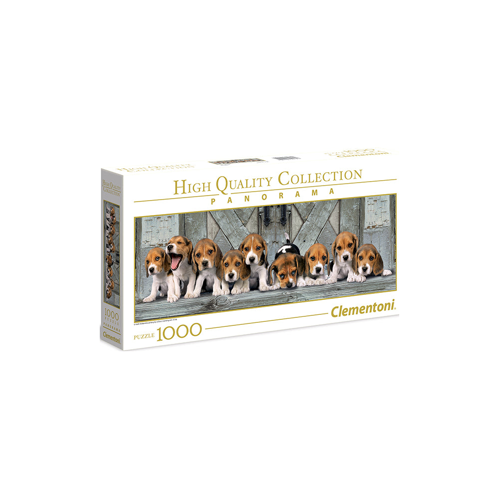 Panorama Hunde Beagles