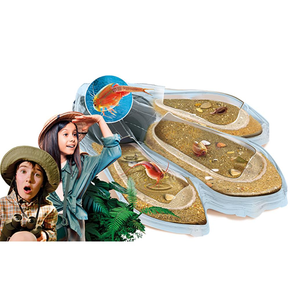 Triops Maxi de Luxe D