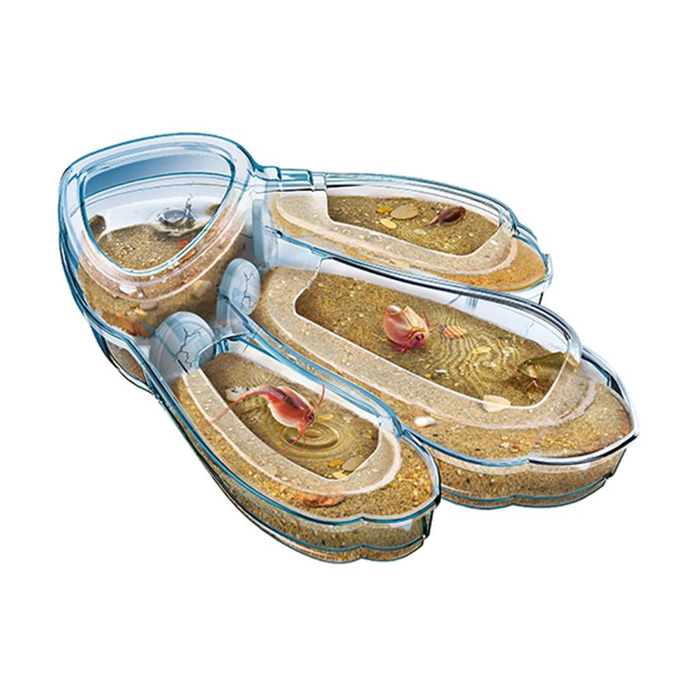 Triops Maxi de Luxe D