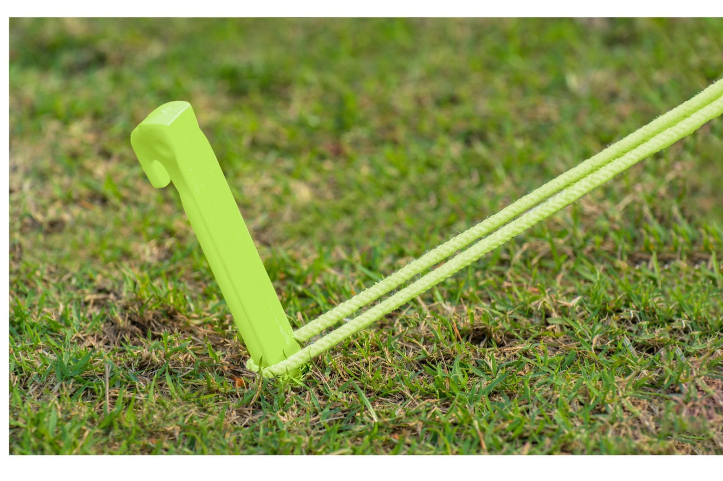 Comet