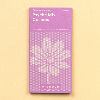 Cosmos Samen - Psyche Mix - Saatgut - Speedjust Schweiz