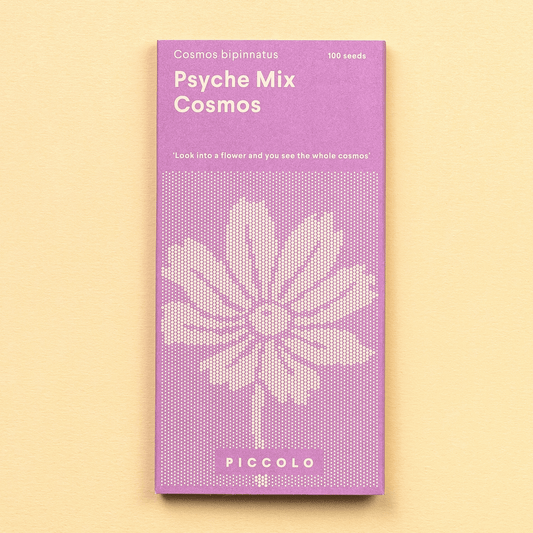 Cosmos Samen - Psyche Mix - Saatgut - Speedjust Schweiz
