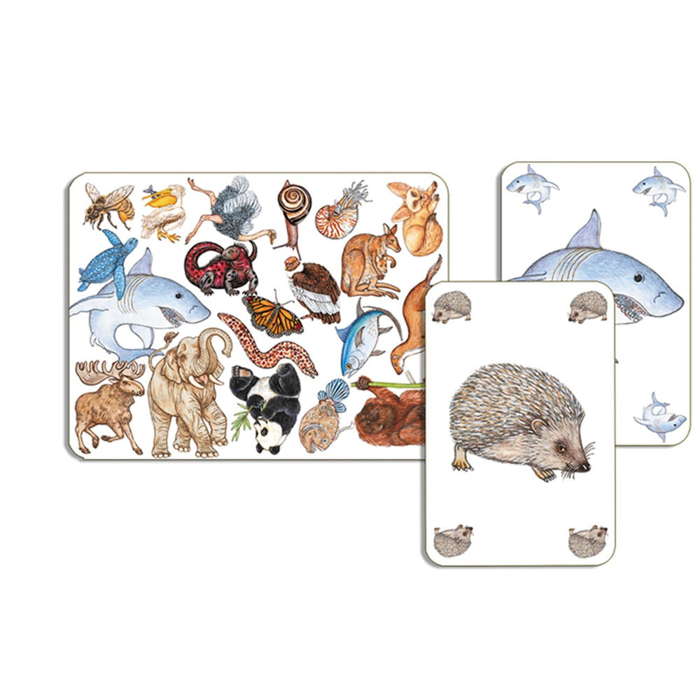 Gioco di carte Djeco Zanimatch