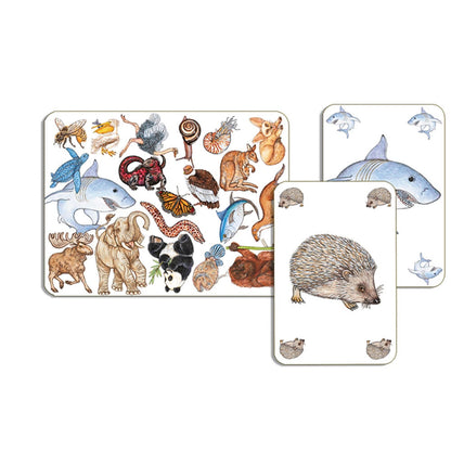 Gioco di carte Djeco Zanimatch