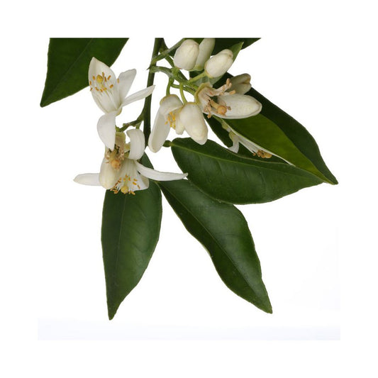 Spray aromatico al neroli, 15 ml