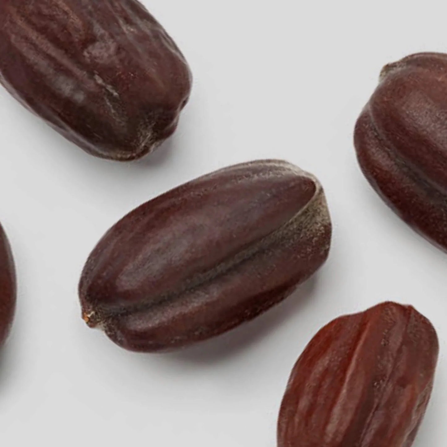 Huile de jojoba BIO pressée à froid - Pour le corps et les cheveux 50 ml - SOWÉ