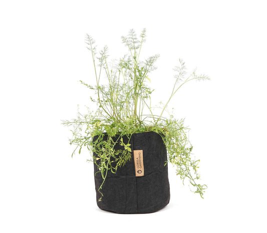 Pflanzsack - 8 Liter