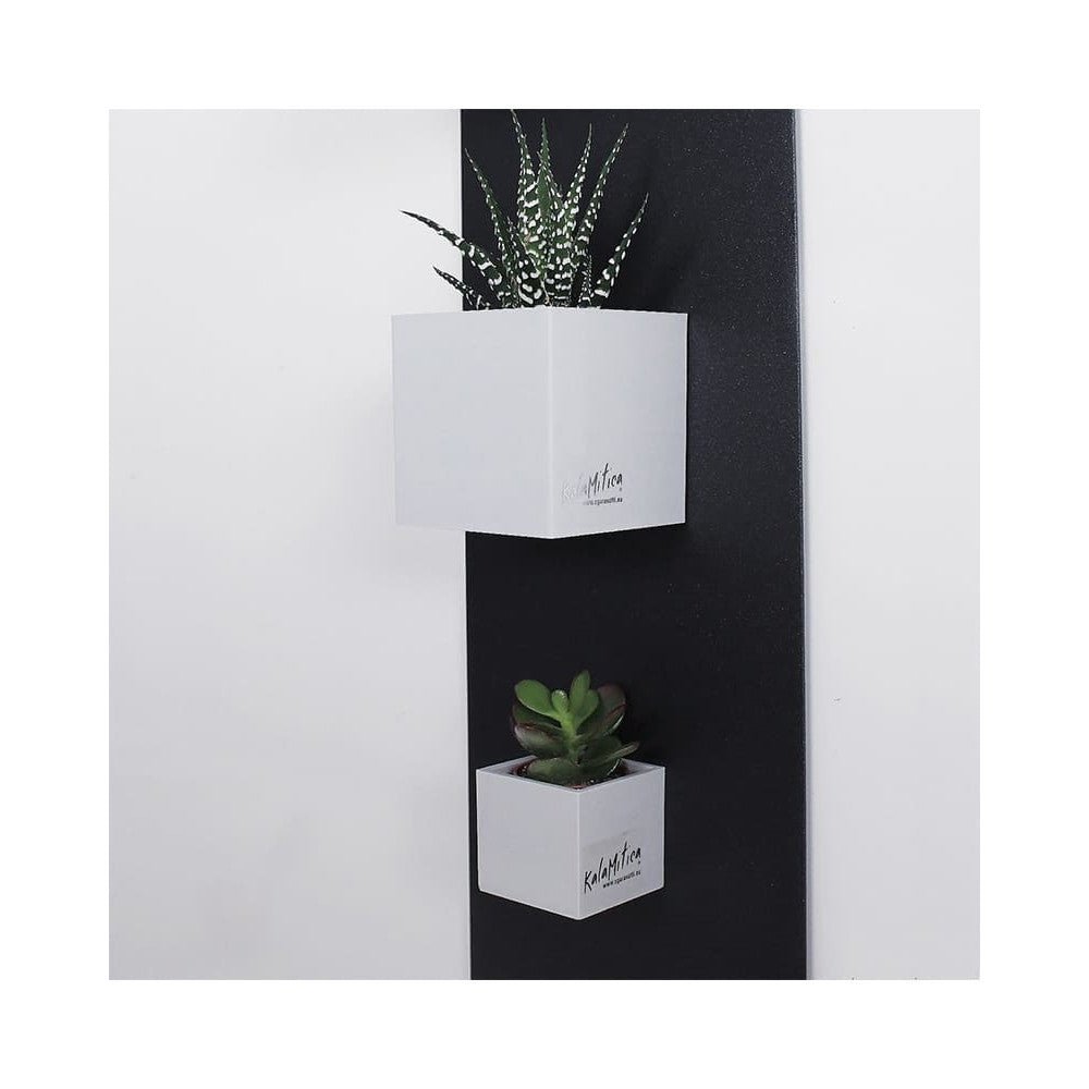 KalaMitica® Magnetische Würfelbehälter Neodym, Ø 3,5 - 6 - 9, Icegrau - Magnetische Produkte - Speedjust Schweiz