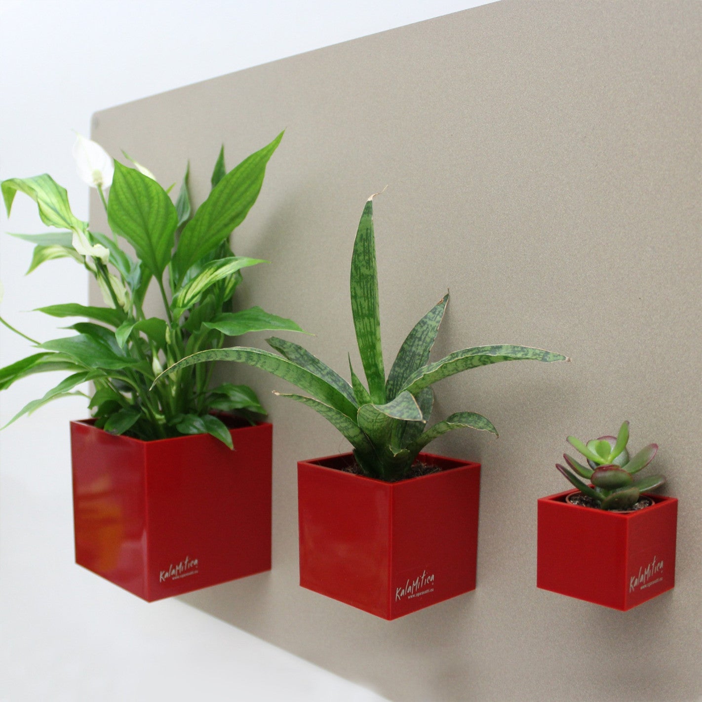 KalaMitica® Magnetische Würfelbehälter Neodym, Ø 3,5 - 6 - 9, Rot, 3 Stk. - Magnetische Produkte - Speedjust Schweiz