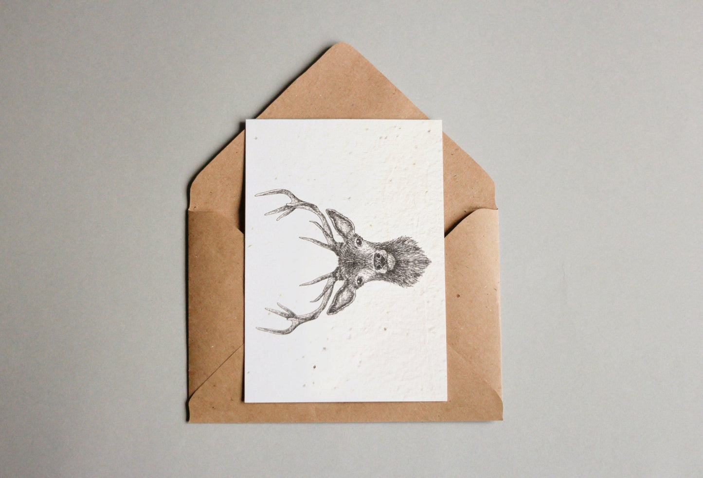 Kartenset aus Samenpapier - Waldtiere - Seedpaper / Samenpapier - Speedjust Schweiz