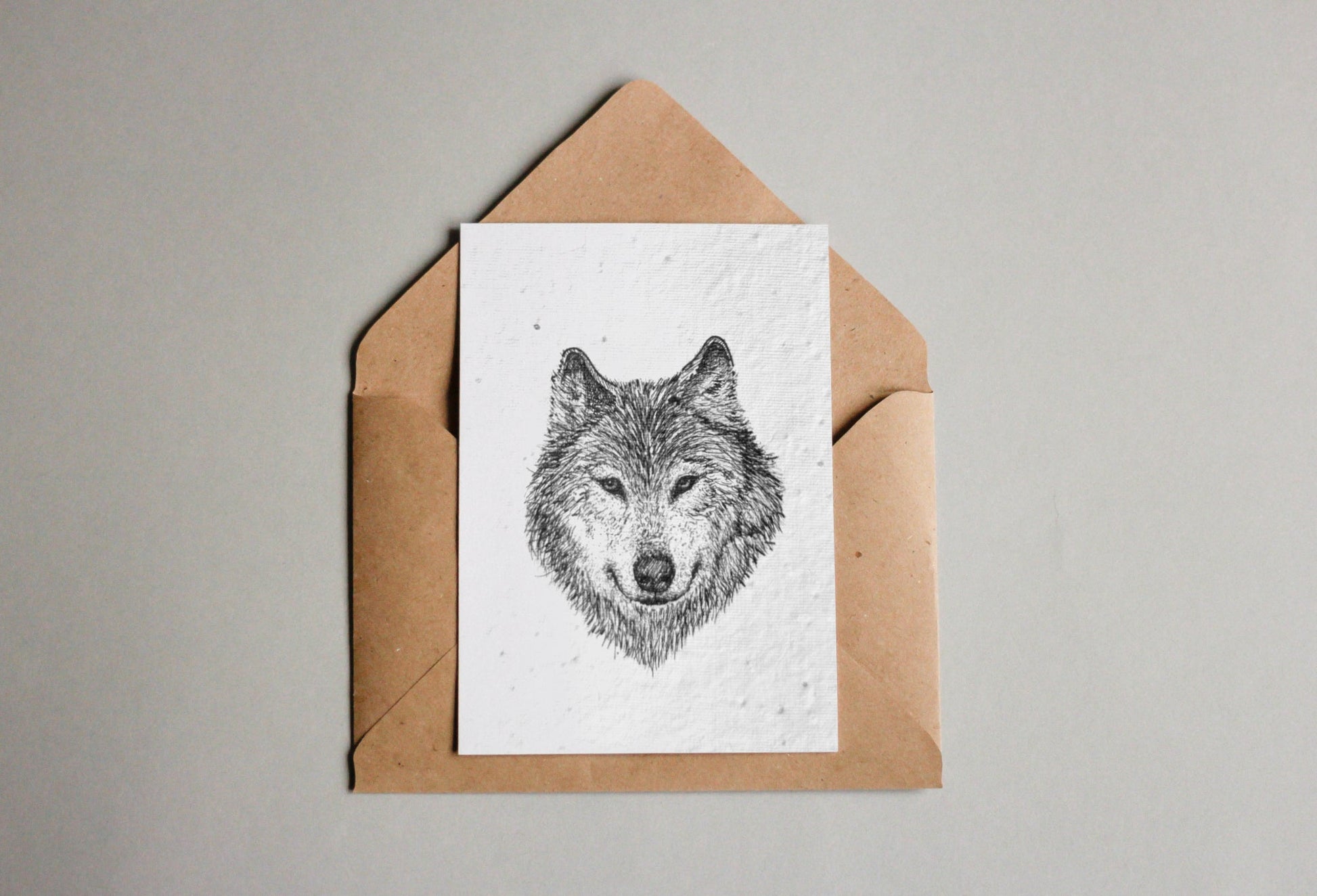 Kartenset aus Samenpapier - Waldtiere - Seedpaper / Samenpapier - Speedjust Schweiz