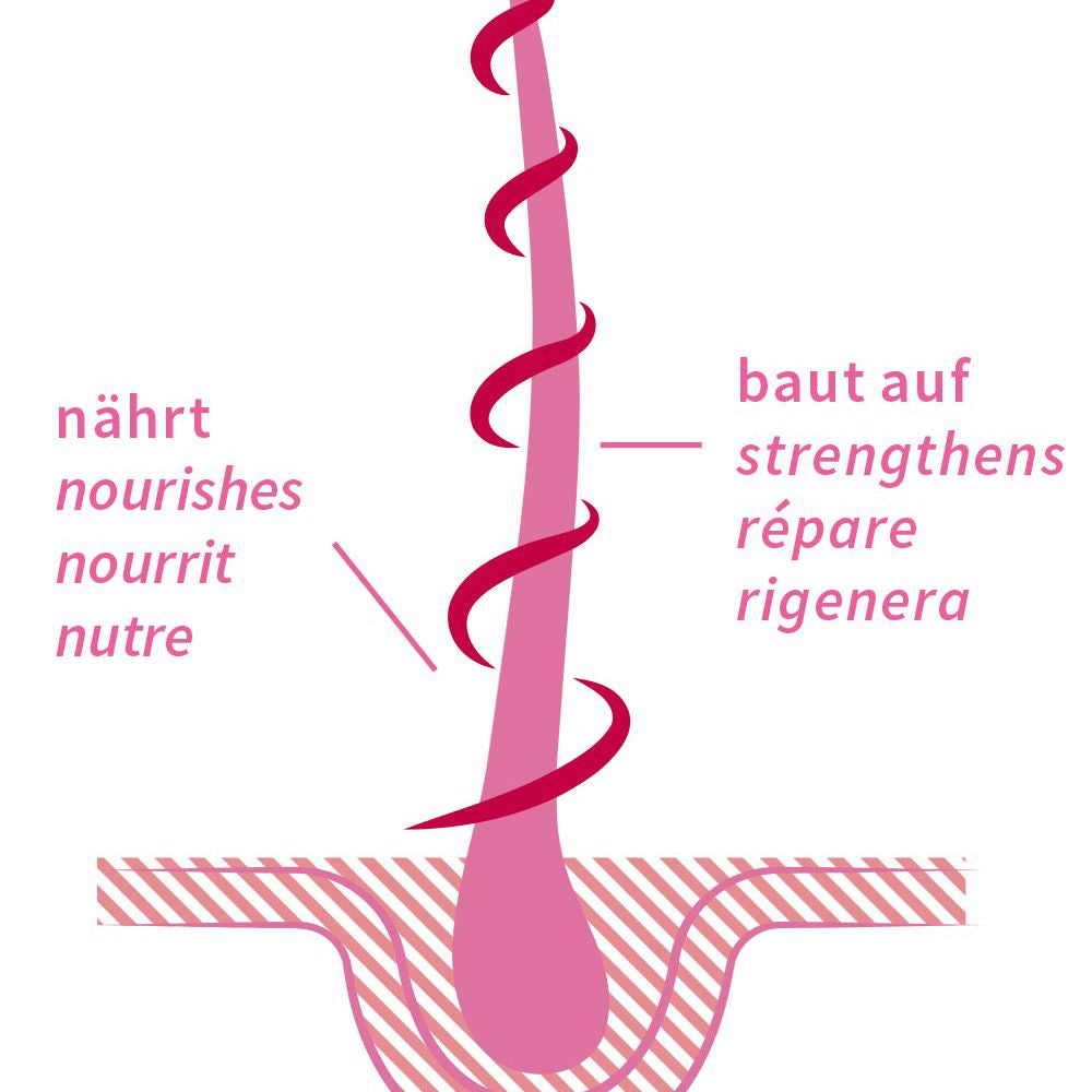 Haaröl Rose Repair