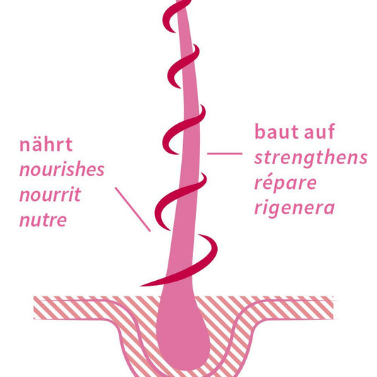 Haaröl Rose Repair