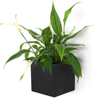 KalaMitica® Magnetwürfel "Kosmos"