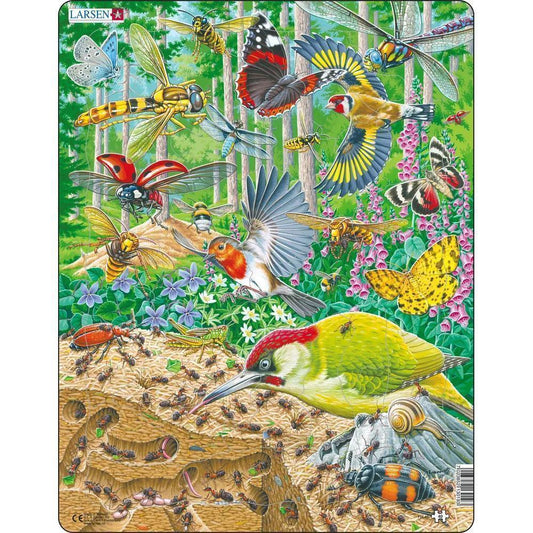 Geschäftiges Leben auf dem Waldboden