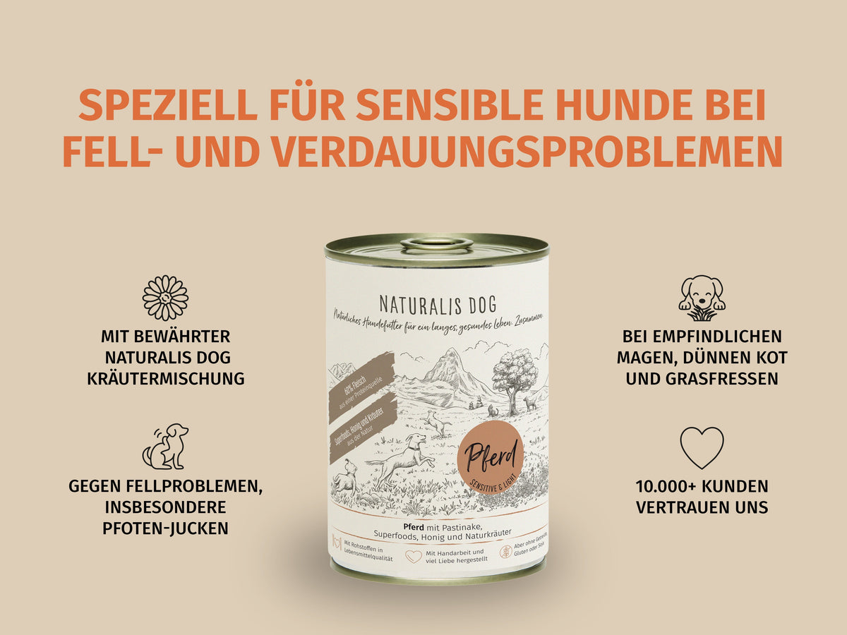 Pferd mit Pastinake und Naturkräutern