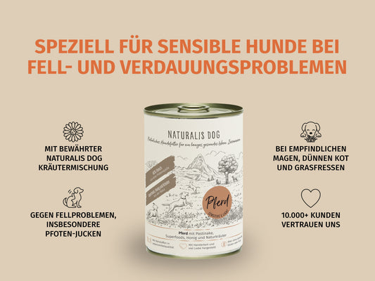 Pferd mit Pastinake und Naturkräutern