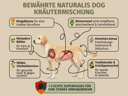 Rind mit Süsskartoffel und Naturkräutern