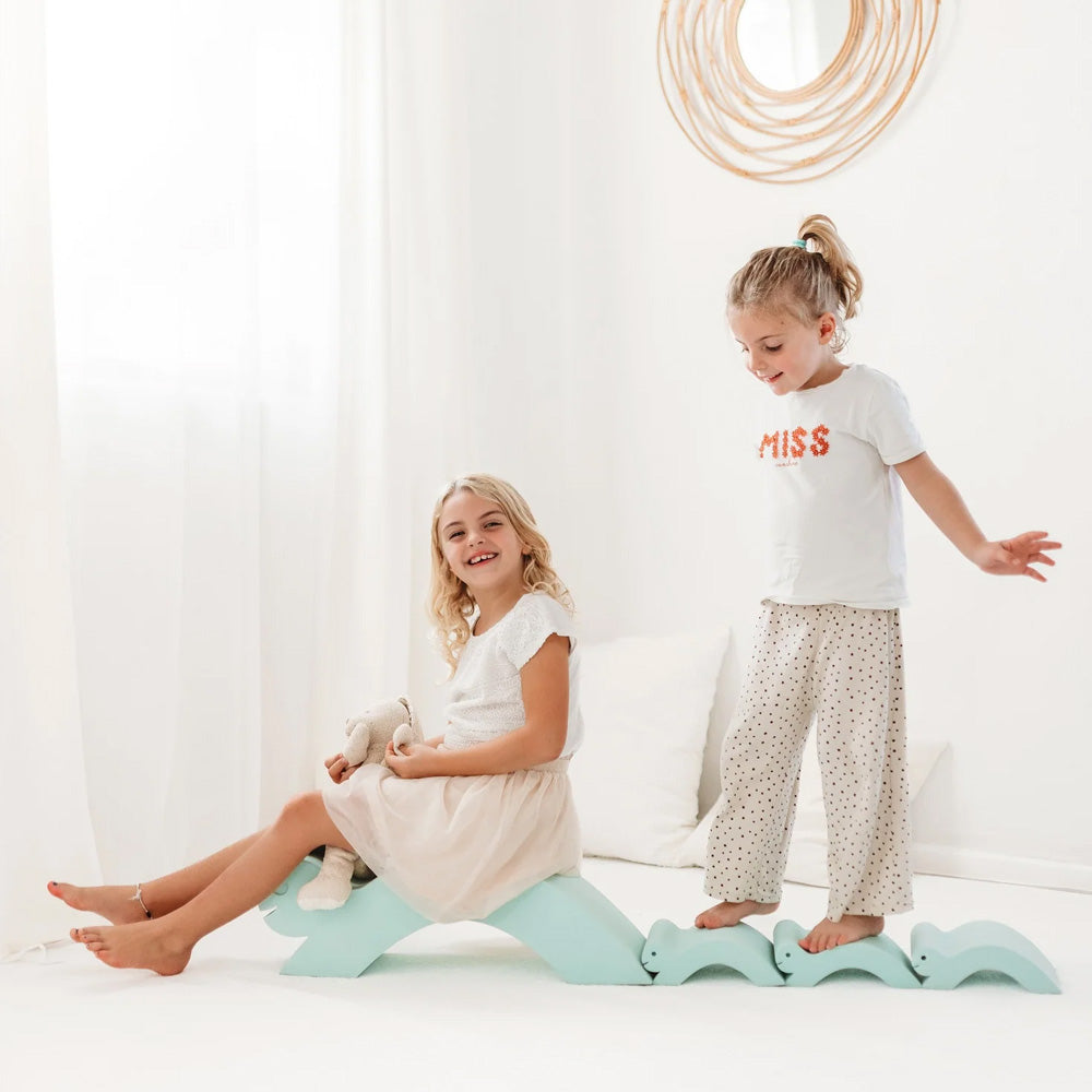 Sea Life - Baby Turtles