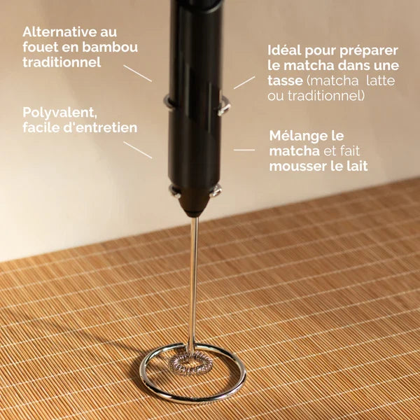 Fouet Électrique ANATAE