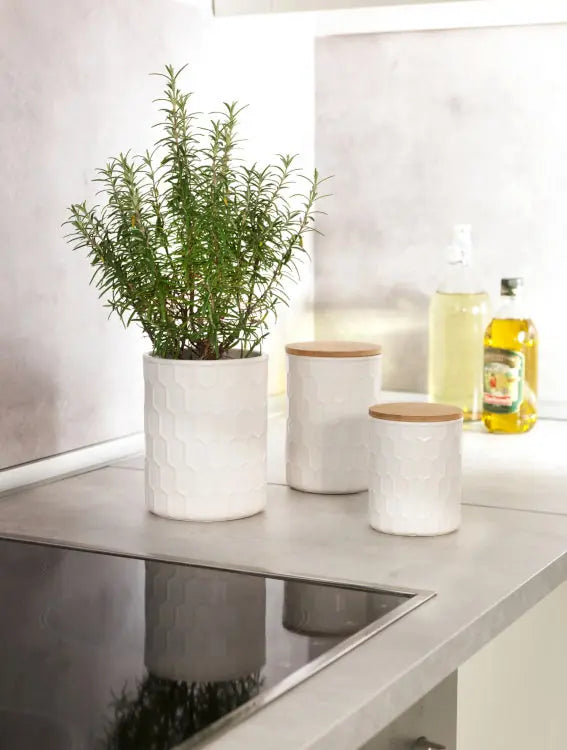 Wenko - Storage Jar Maya 0.4L - Stylish Food Keeper 🥫✨