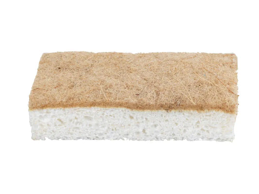 Wenko - Coco Dish Sponge 2-Pack - Sustainable Shine 🌿✨