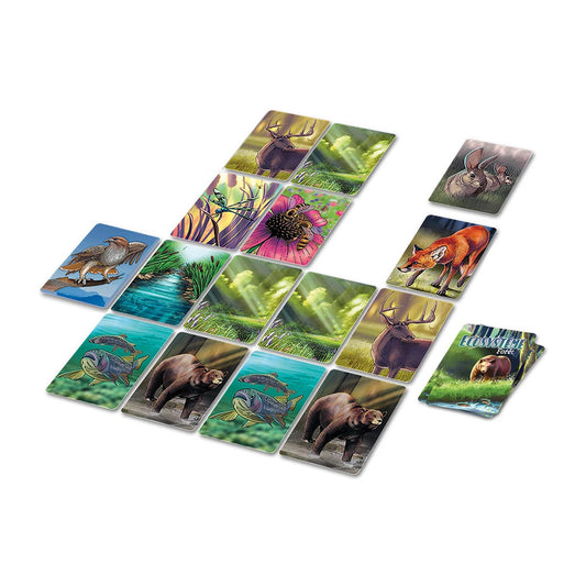 Ecosystème Forêt (f)