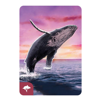 Écosystème Océan (f)