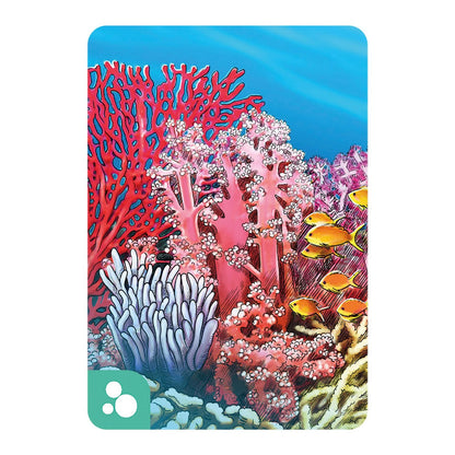 Écosystème Océan (f)