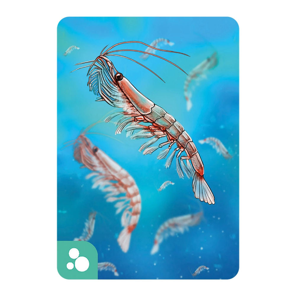 Écosystème Océan (f)