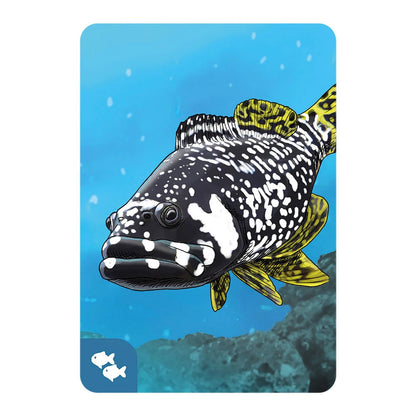 Écosystème Océan (f)