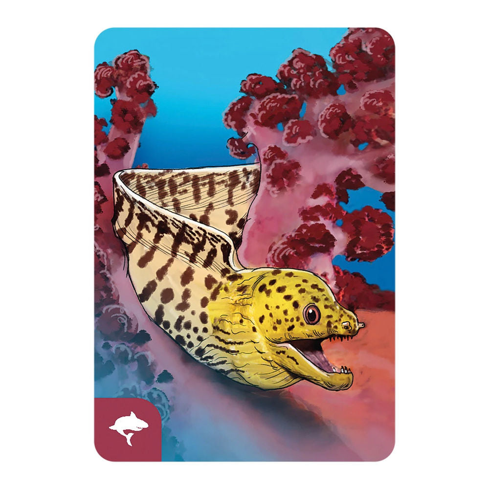 Écosystème Océan (f)