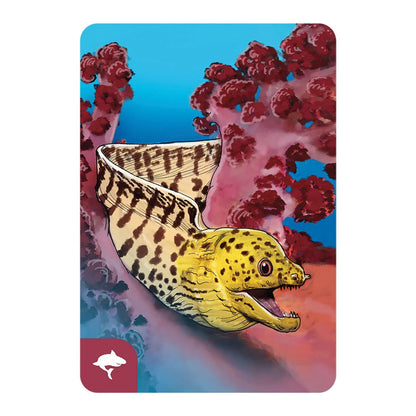 Écosystème Océan (f)