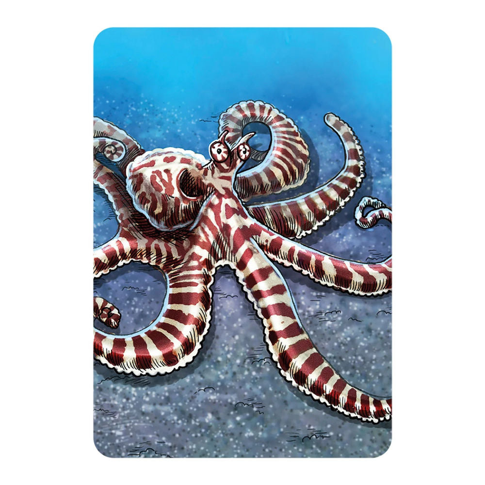 Écosystème Océan (f)