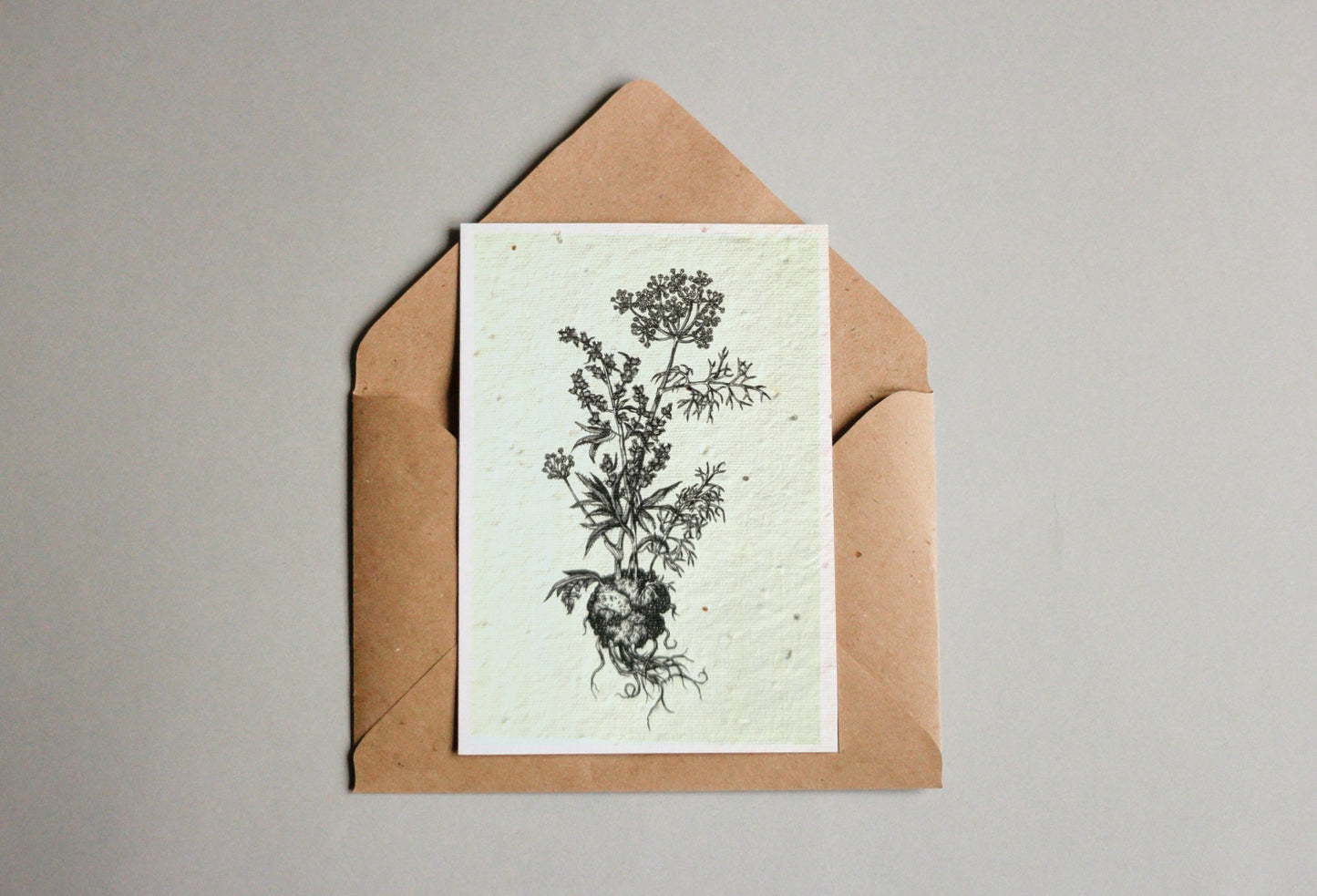 Postkarten aus Samenpapier - Andrea Noti - Seedpaper / Samenpapier - Speedjust Schweiz