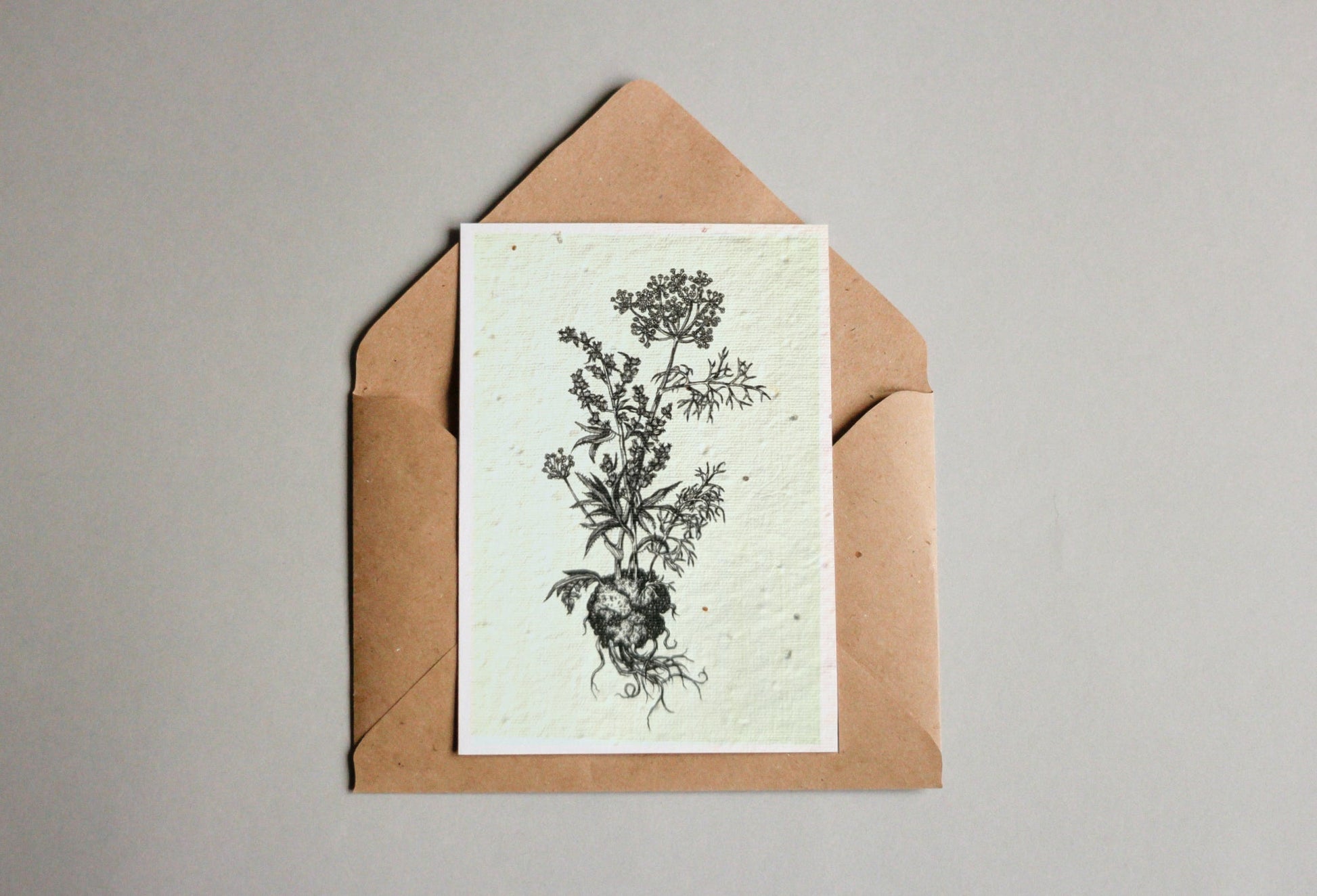 Postkarten aus Samenpapier - Andrea Noti - Seedpaper / Samenpapier - Speedjust Schweiz