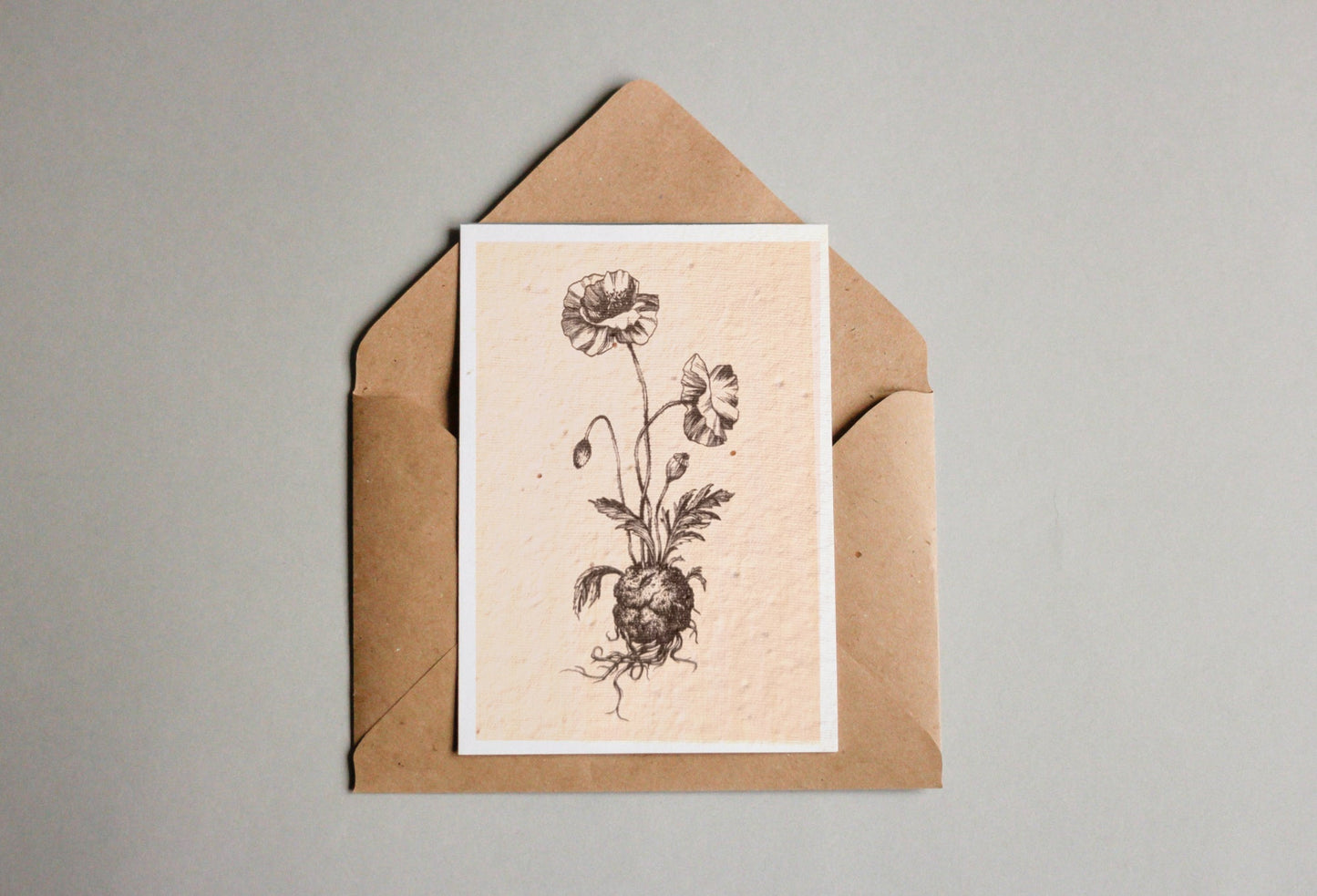 Postkarten aus Samenpapier - Andrea Noti - Seedpaper / Samenpapier - Speedjust Schweiz