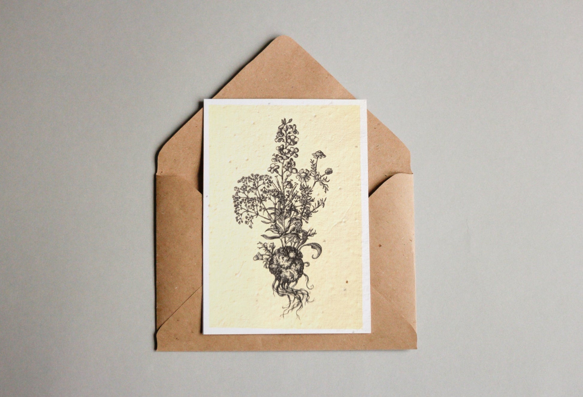 Postkarten aus Samenpapier - Andrea Noti - Seedpaper / Samenpapier - Speedjust Schweiz