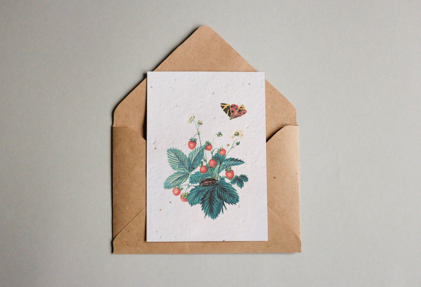 Postkarten aus Samenpapier Enzyklopädie Küche - Seedpaper / Samenpapier - Speedjust Schweiz
