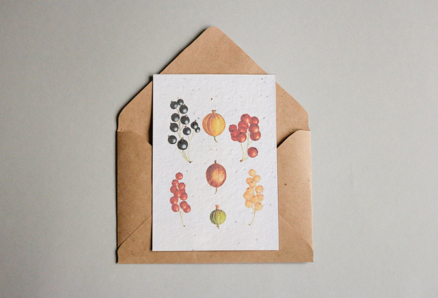 Postkarten aus Samenpapier Enzyklopädie Küche - Seedpaper / Samenpapier - Speedjust Schweiz