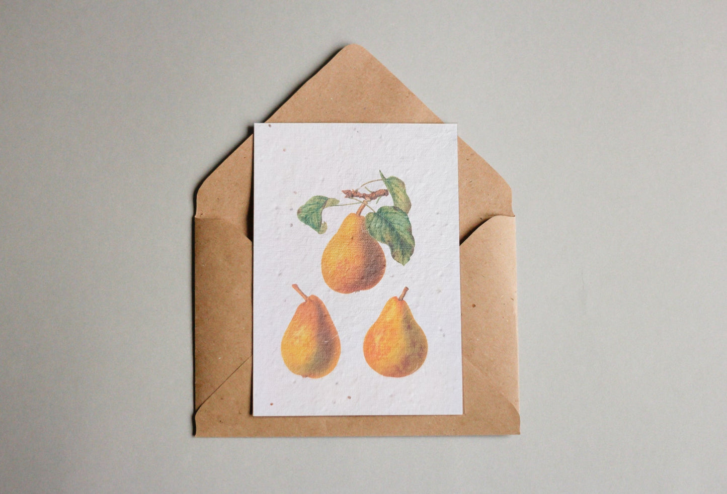 Postkarten aus Samenpapier Enzyklopädie Küche - Seedpaper / Samenpapier - Speedjust Schweiz